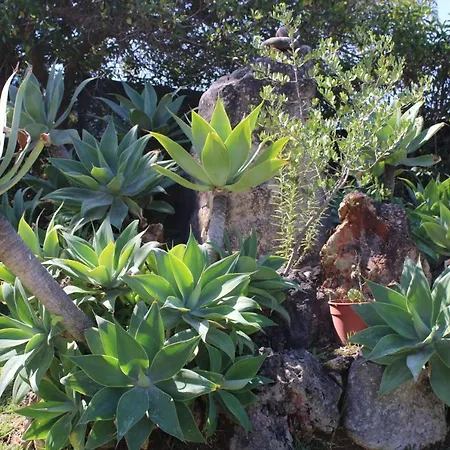 Casa Eunice Вилла Карвоейру