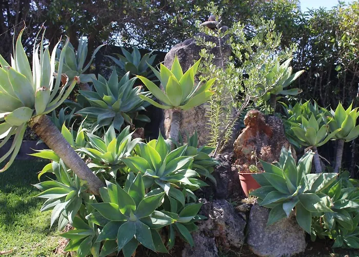 Casa Eunice فيلة كارفويرو